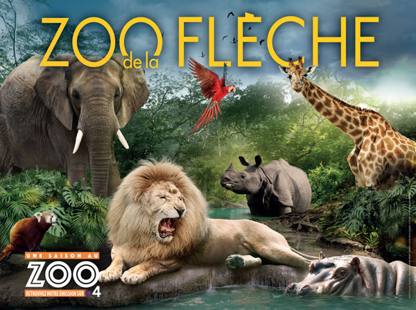 2020 Zoo De Beauval : Au Coeur De La Machine